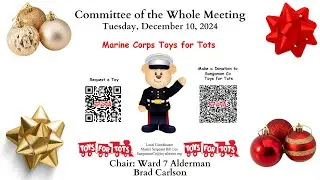Springfield Illinois Committee of the Whole Tuesday December 10 2024