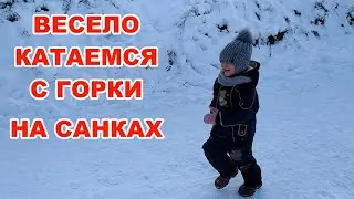 Веселое катание на санках с горки | Катаемся с горы на санках | Беларусь | Гомель | Февраль 2021