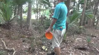playing disc golf