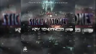 Kay Tendaness Sticks & Stones ( Official Audio ) Gotham Riddim 2020