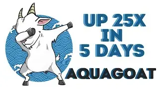 Cleaning Up & Conserving The Oceans - The New Aquagoat.finance (AQUAGOAT) Community Coin