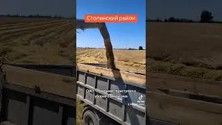Уборка в ОАО Лядецкий