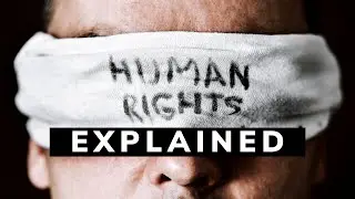 What Are Human Rights And Why Are They Important?