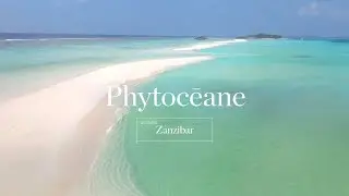 Destination ZANZIBAR