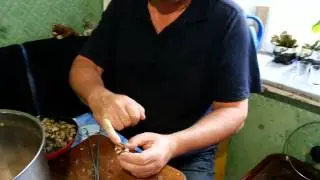 Как я чистил улиток.