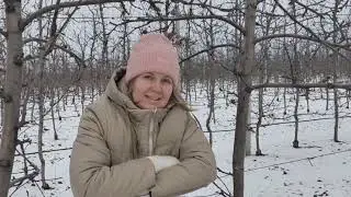 Новогоднее поздравление от Владимировского сада