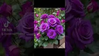 #добрыйвечер #счастья#радости#удачи