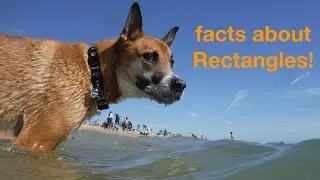 Facts About Rectangles