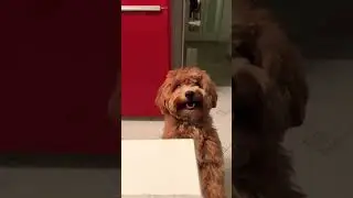 Антидепрессант 😃❤️