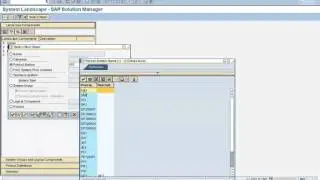 SAP OS DB