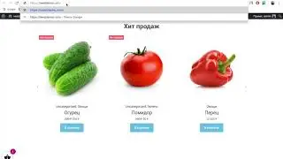 2. Установка и настройка Yoast