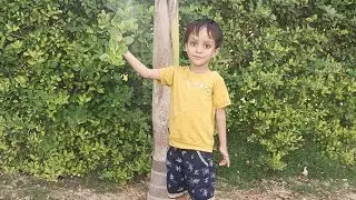 masti time