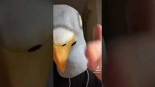 канібалка — Roman L #ukraine #українськамузика #реп #art #lofihiphop #українськийреп #chicken #funny