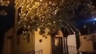 Слово протоиерея Виктора Белякова в Вечер Великой Пятницы