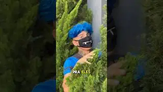 Eles querem entrar na mansão
