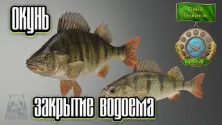 РР4 | Трофейный ОКУНЬ | Закрыл водоем | река Вьюнок