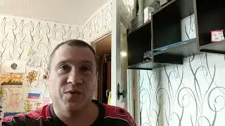 Инфошум октябрь 2024