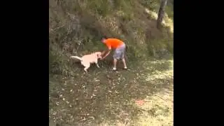 Recreação com Lelek
