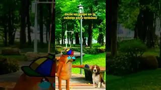 INCIDENTE NIÑO MATA ASU PERRITO 😢 #cheems #voidmeme