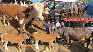 16 мая 2025 Г.МОЛБОЗОРИ ХИСТЕВАРЗ Ш ХУЧАНД ХУДЖАНД ТОЖИКИСТОН molbozor
