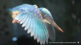 CREAL AR: natural vision in the personal space!