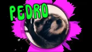 PEDRO - Jaxomy, Agatino Romero, Raffaella Carrà | Pedro Raccoon | TikTok SONG | Visualizer