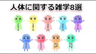 人体に関する雑学8選