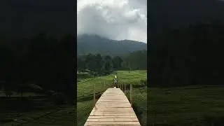 story wa || DENY CAKNAN KLEBUS