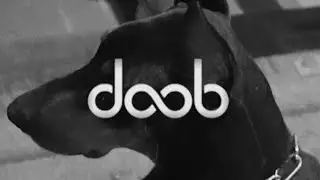 3 года DOOB RECORDS