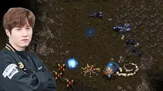 Bisu doesn't care about your rush.