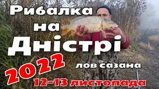 Рибалка на Дністрі лоа сазана