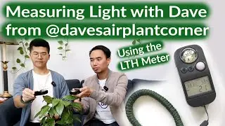 Measuring Light at Dave's Air Plant Corner | Part 1
