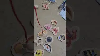 מה עושים עם יצורי הים