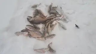 5 января 2023 г.