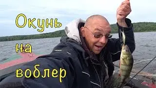ЛОВЛЯ АКТИВНОГО ОКУНЯ. ВОБЛЕР РУЛИТ.