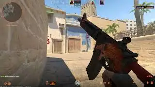 CS 2 Войка