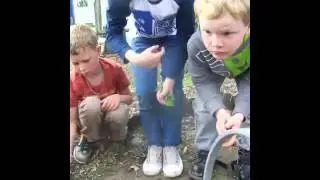 Onkruid weghalen ...
