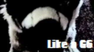 -ℓιкє α G6 ~ єριѕσ∂є 1 : ѕєαѕση 1 [RE-UPLOAD]