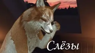 WCMV •°Слёзы°•