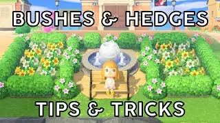 beautifying your island: bushes & hedges guide • Animal Crossing: New Horizons | @imAnnaMolly