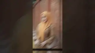 Bu Rara guru penjas viral 