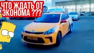 Типичные ПАССАЖИРЫ эконома