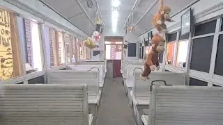 Трамвай из  фильма Кинг Конг (2005), находится в Новой Зеландии!/The tram from the movie King Kong 🦧