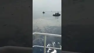 Pemantauan Oleh Basarnas puing Puing Pesawat JT 610