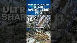 Backscatter Sharp Wide Lens Pro for GoPro #shorts