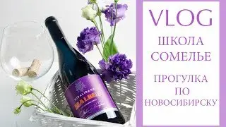 Школа сомелье DiVino🍷 Прогулка по городу ( февраль 2019)