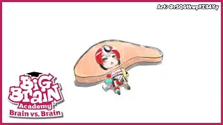 ≪Big Brain Academy: Brain vs. Brain≫  fish brain.