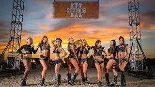 Monster Energy - 