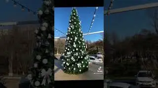 Holliday soon🔜🥰🎄🎅