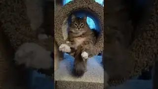Королева Фаня.